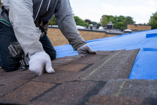 Quick and Trustworthy Emergency Roof Repair Services in Merriam, KS